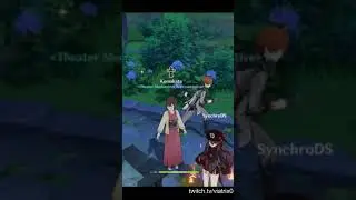 co op struggles | genshin impact