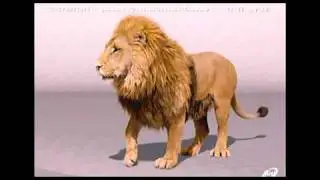 Narnia World Best Compositing