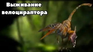 Выживание Велоцираптора в The cursed isle| Modjis