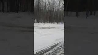 Ман лесовоз выезд с делянки