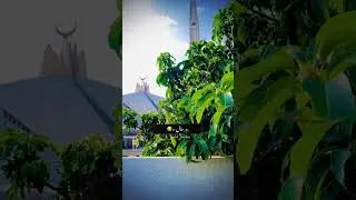 Heart touching poetry video #maa #love #viral #nature #shorts #urdupoetry #viral #hindipoetry #dil