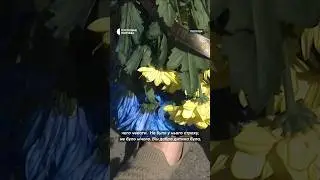 У Полтаві попрощалися із Антоном Цимбаровичем