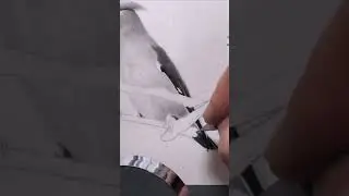 Realistic Bird Drawing #art #drawing #sketch #realisticdrawing