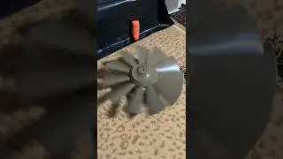 issa fan