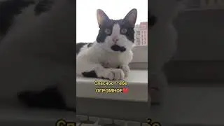 подпишись на канал!💗💗 