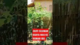 IKUTI SILUMAN BUAYA MAU PULANG KE RUMAH IBU YOUTUBE VIKO79
