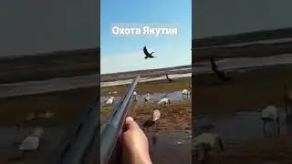 охота Якутия меткие выстрелы