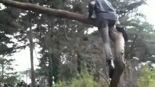 man vs tree at hardly strictly bluegrass