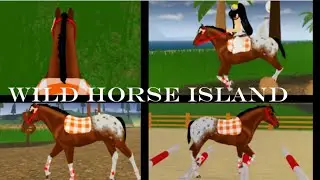 || wild horse island || влог || тренировка ||