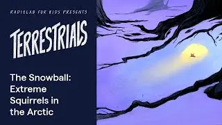 The Snowball: Extreme Squirrels in the Arctic | Terrestrials | Radiolab for Kids Podcast