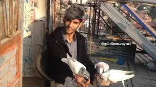 Sevgilisi Olanlara Taktikler (VİNE)