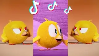 SHORTS CHICKY | BABY LAUGH | Where's Chicky #shorts