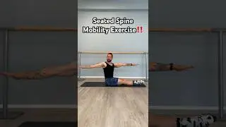 Seated Spine Mobility Exercise!#spinemobility #midbackpain #backflexibility #shouldermobility