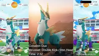 Cobalion Duo in Cloudy (Low Kick / Iron Head) with 