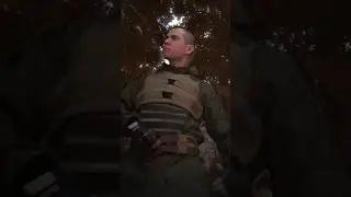 Ходит Сталкер по лесу 