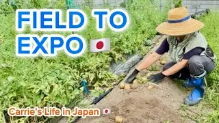 OFW Life in Japan 🇯🇵 | Potato Harvest & Osaka Expo | ASMR 