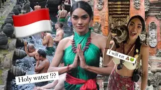 🇮🇩Ep2 #Bali  rent bike🏍️ l Street food l Holy,Spring Water | Coffee from 💩 Civet cats 🤢2023