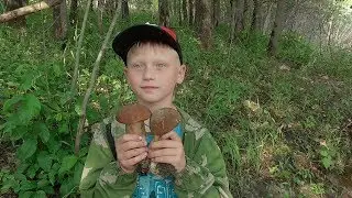 Идём за БЕЛЫМИ! По ГРИБЫ АВГУСТ 2019