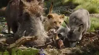 The lion king - hakuna Mata