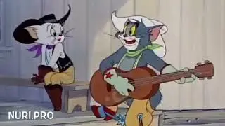 турк кушиги