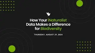 Webinar: How Your iNaturalist Data Makes a Difference for Biodiversity