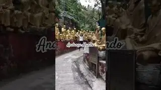Andança pelo Mundo 
