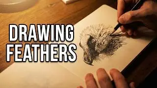 Master Drawing Feathers in 30 Minutes GUARANTEED!