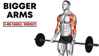 Grow Bigger Arms Fast 💪 Barbell Arms Workout Routine for Beginners