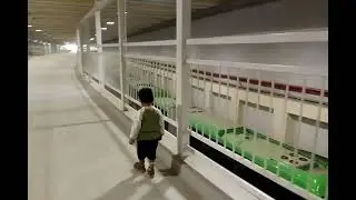 Green bus Terminal #kids #enjoy #karachi