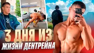 3 ДНЯ С ДЕНТРЭЙНОМ (вся правда о дтп и бмв…)