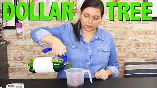 Dollar Tree, products some Bad, some really Good...