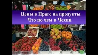 Prices in Prague for food | Shopping in the Czech Republic. What is it worth