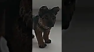 Немного о моей коллекции 🖤✨ 