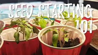 How to START SEEDS and Edible Landscaping tour
