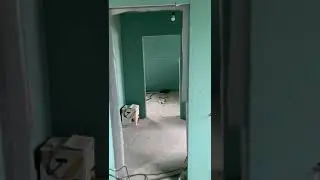 VID 20190213 WA0012