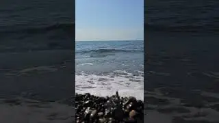 море шумит