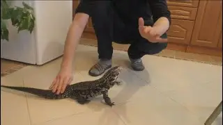 Чуть не получил КУСЬ от Копы