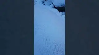 24 января 2021 г.