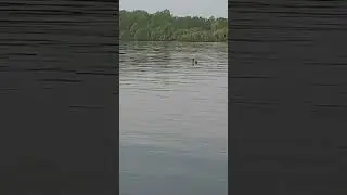#рыбалка