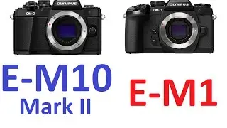 Olympus OM-D E-M10 Mark II vs Olympus OM-D E-M1