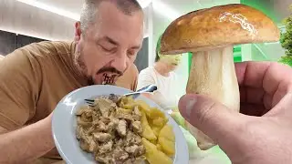Белый гриб в сметане. Может последнее наше видео?