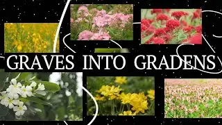 Graves Into Gardens Lyric Video