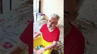 ХОРОШО В ЛЕСУ КОТУ С ЛИСОЙ