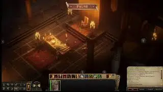 Pathfinder:Kingmaker  Fiona (Female Monk), Fan choice 