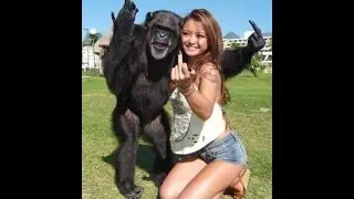 Best Funny Videos Fail 2016   India whatsapp funny video 2016