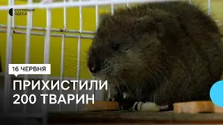 Тритони, саламандри та олениха: у зоопарку в Одесі виходжують тварин після підриву Каховської ГЕС