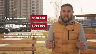 Золотое Сечение Честный Обзор