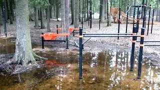 Как кричит сойка и утонула спортплощадка у входа в Мытищинский лесопарк
