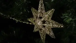 Fir Tree