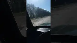 нет дорог, нет налогов! #memes #automobile #топ